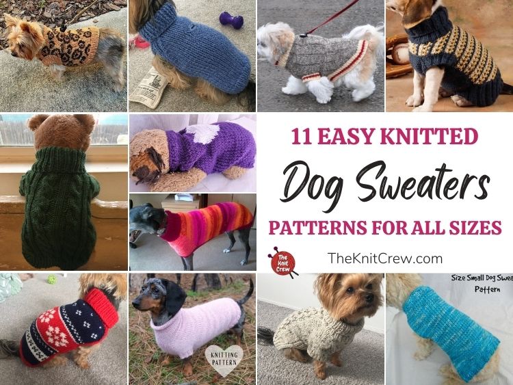 11 Easy Knitted Dog Sweater Patterns For All Sizes - The Knit Crew