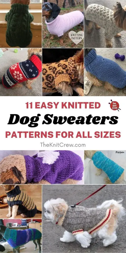 11 Easy Knitted Dog Sweater Patterns For All Sizes PINTEREST 1