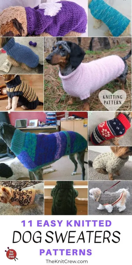 11 Easy Knitted Dog Sweater Patterns PINTEREST 3