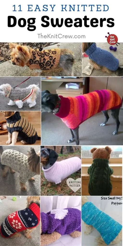 11 Easy Knitted Dog Sweaters PINTEREST 2