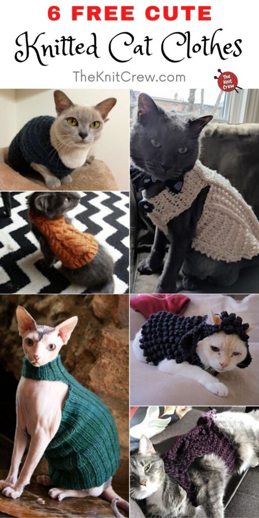 6 Free Cute Knitted Cat Clothes PIN 2
