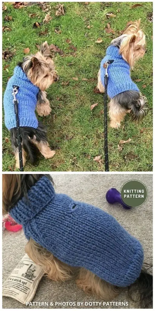 Basic Dog Sweater - 11 Easy Knitted Dog Sweater Patterns For All Sizes