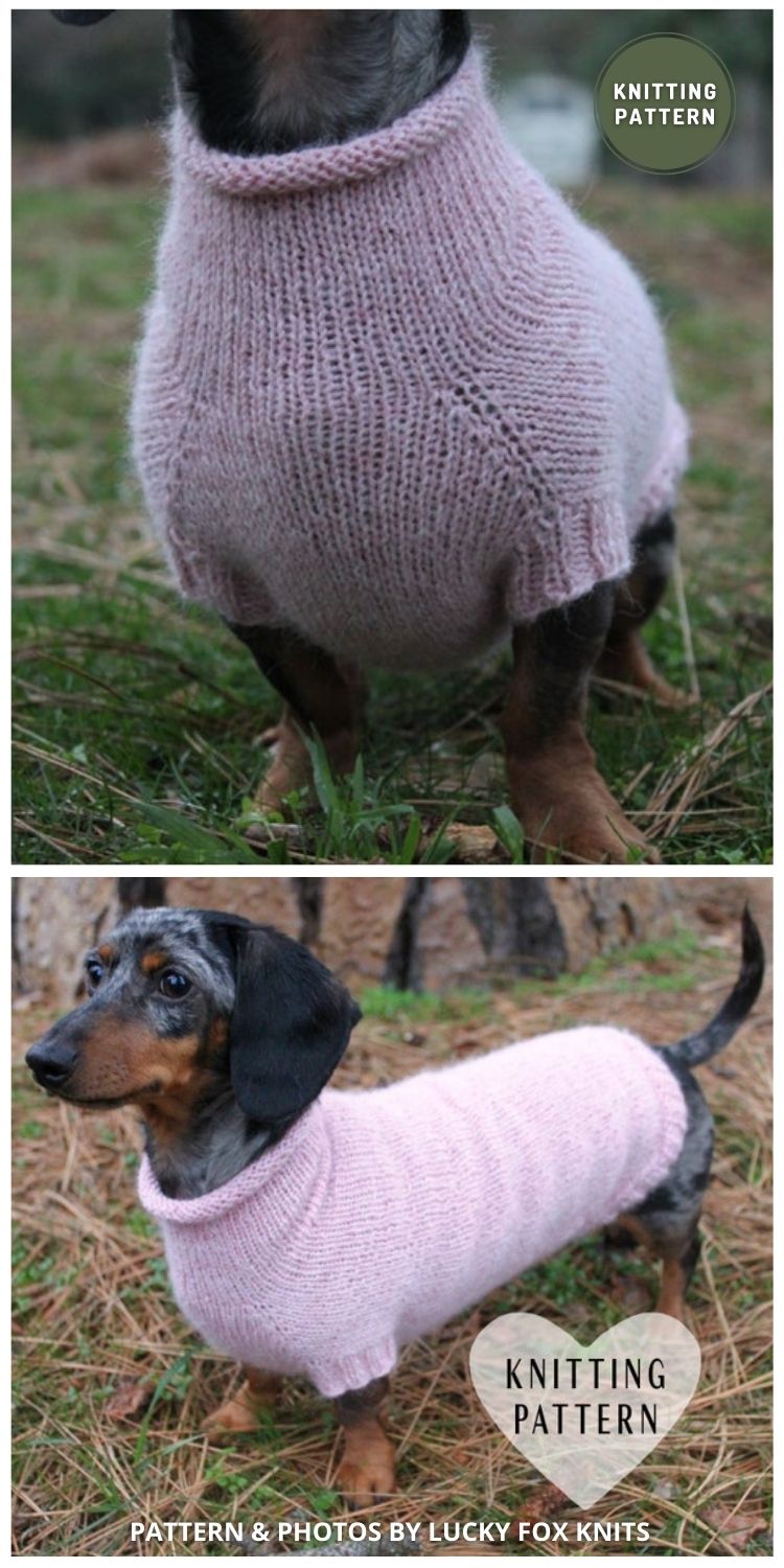11 Easy Knitted Dog Sweater Patterns For All Sizes The Knit Crew