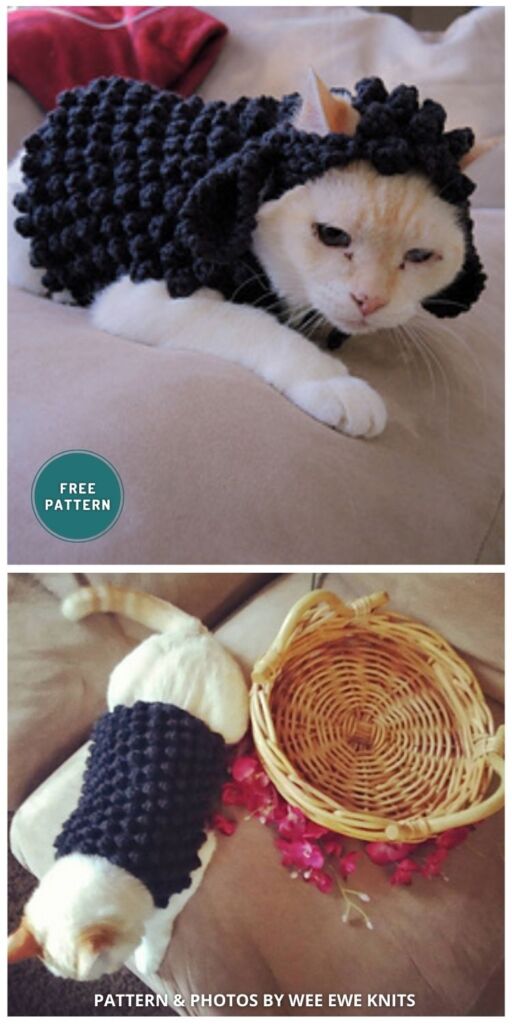 Fleecey Felines & Sheepy Canines - 6 Free Cute Cat Clothes Knitting Patterns