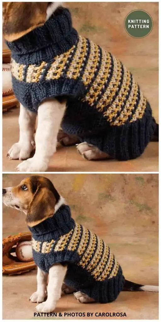 Knitted Dog Sweater - 11 Easy Knitted Dog Sweater Patterns For All Sizes