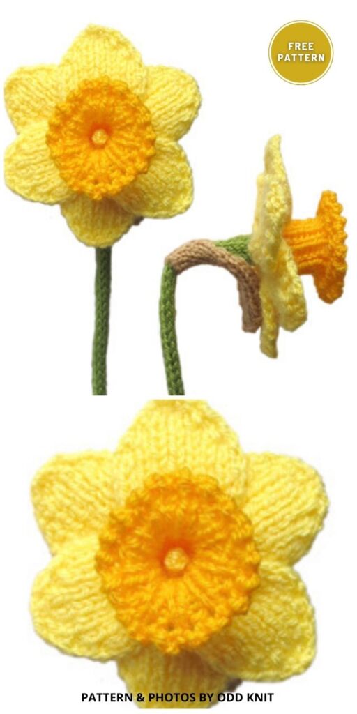 Knitted Daffodils - 7 Quick Free Knitted Daffodil Pattern Ideas