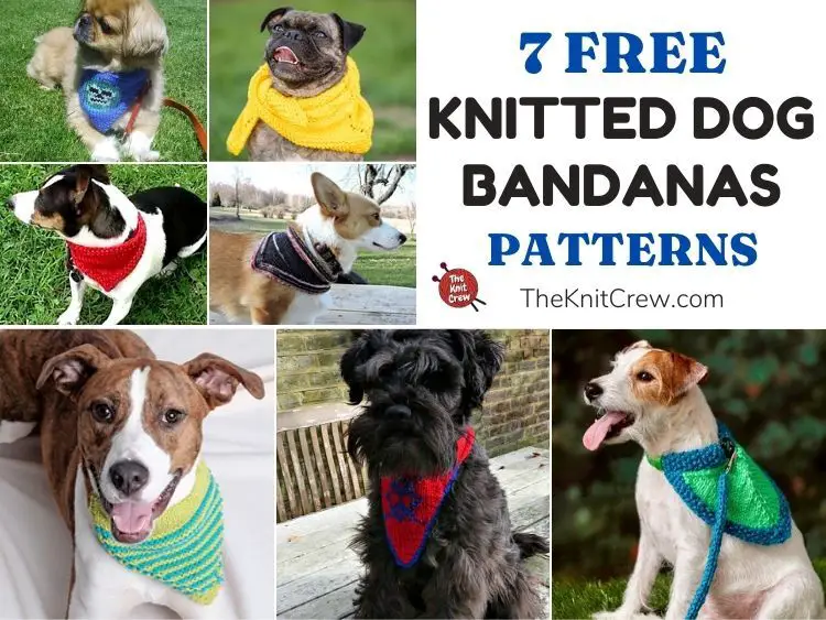 7 Free Knitted Dog Bandana Patterns FB POSTER