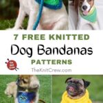 7 Free Knitted Dog Bandana Patterns PIN 1