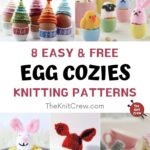 8 Easy & Free Egg Cozy Knitting Patterns PIN 1