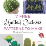 7 Free Knitted Cactus Patterns To Make PIN 1