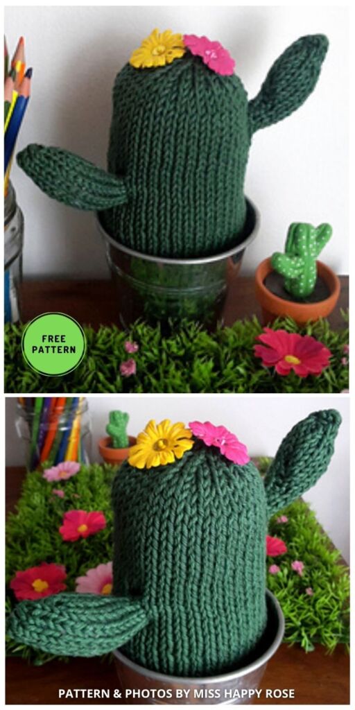 Cactus - 7 Free Knitted Cactus Patterns To Make