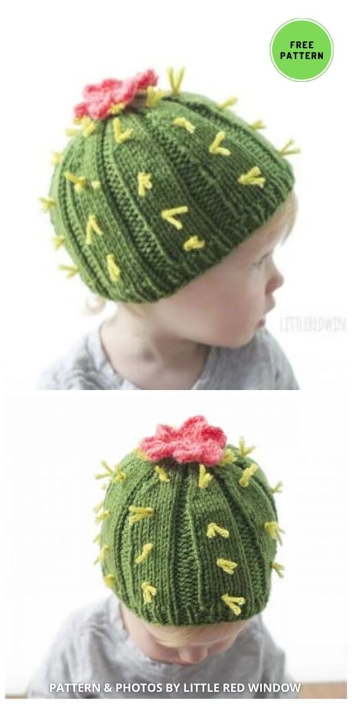 Cuddly Cactus Hat - 7 Free Knitted Cactus Patterns To Make