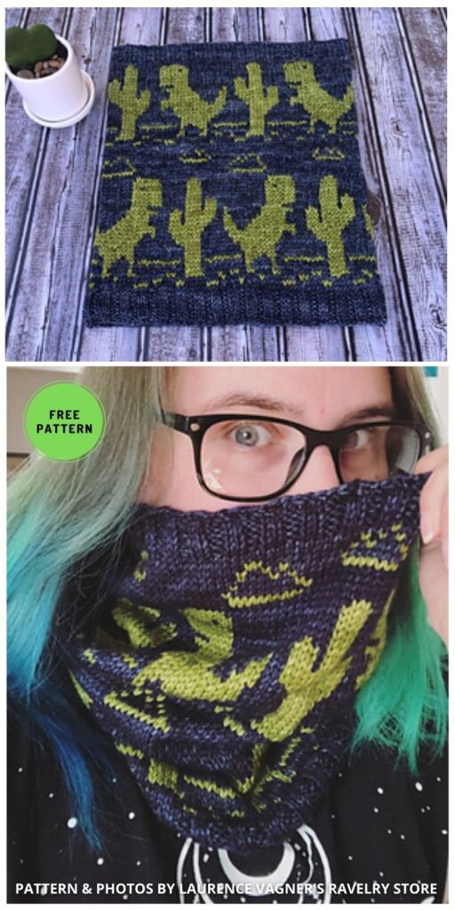 No Internet Cowl - 7 Free Knitted Cactus Patterns To Make