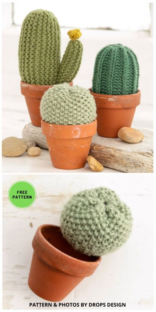 Poke Me - 7 Free Knitted Cactus Patterns To Make