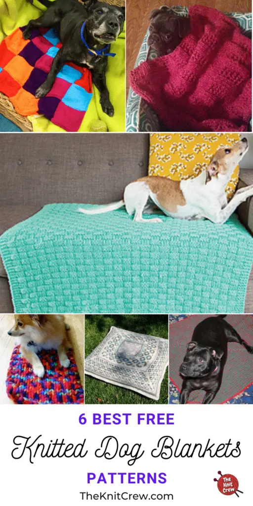 6 Best Free Knitted Dog Blanket Patterns PIN 3