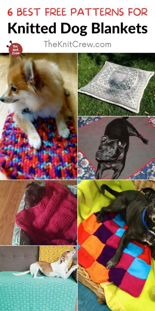 6 Best Free Patterns For Knitted Dog Blankets PIN 2