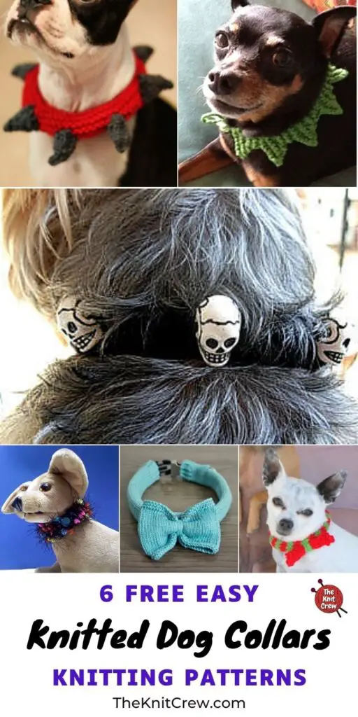 6 Free Easy Knitted Dog Collar Patterns PIN 3