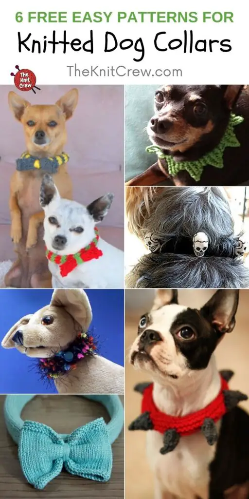 6 Free Easy Patterns For Knitted Dog Collars PIN 2