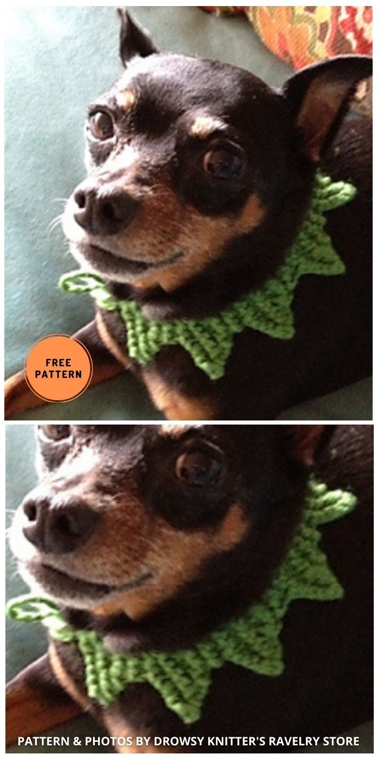 Oh Kermie! - 6 Free Easy Dog Collar Knitting Patterns