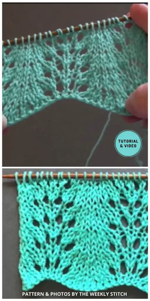 Old Shale Variation - 6 Quick Knitted Old Shale Stitch Tutorials For Beginners