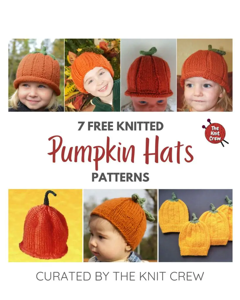 7 Free Knitted Pumpkin Hat Patterns PIN 1