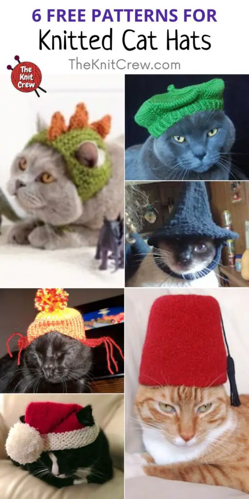 6 Free Patterns For Knitted Cat Hats PIN 2