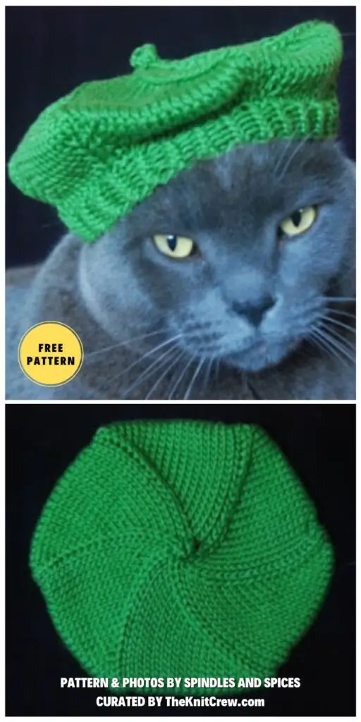 International Cat Hat_ France, Le Mieux - 6 Free Knitted Cat Hat Patterns