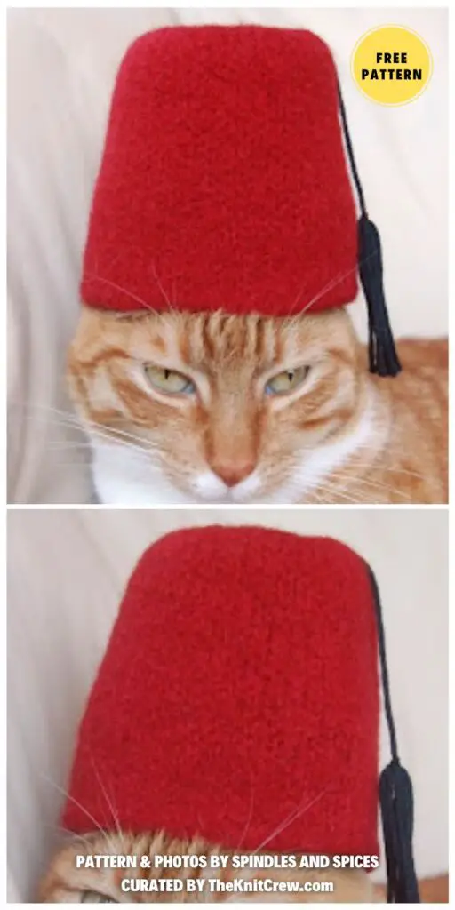 International Cat Hat_ Turkey - 6 Free Knitted Cat Hat Patterns
