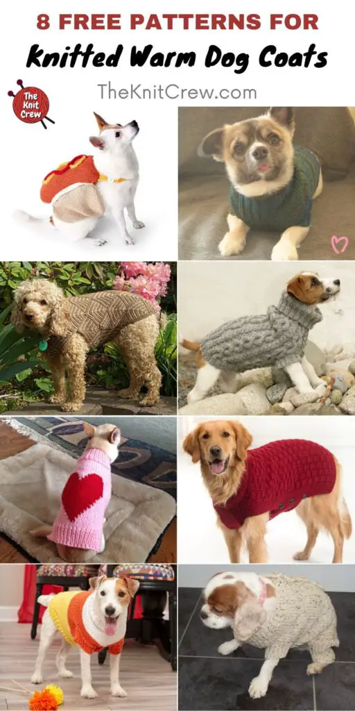 8 Free Patterns For Knitted Warm Dog Coats PIN 2