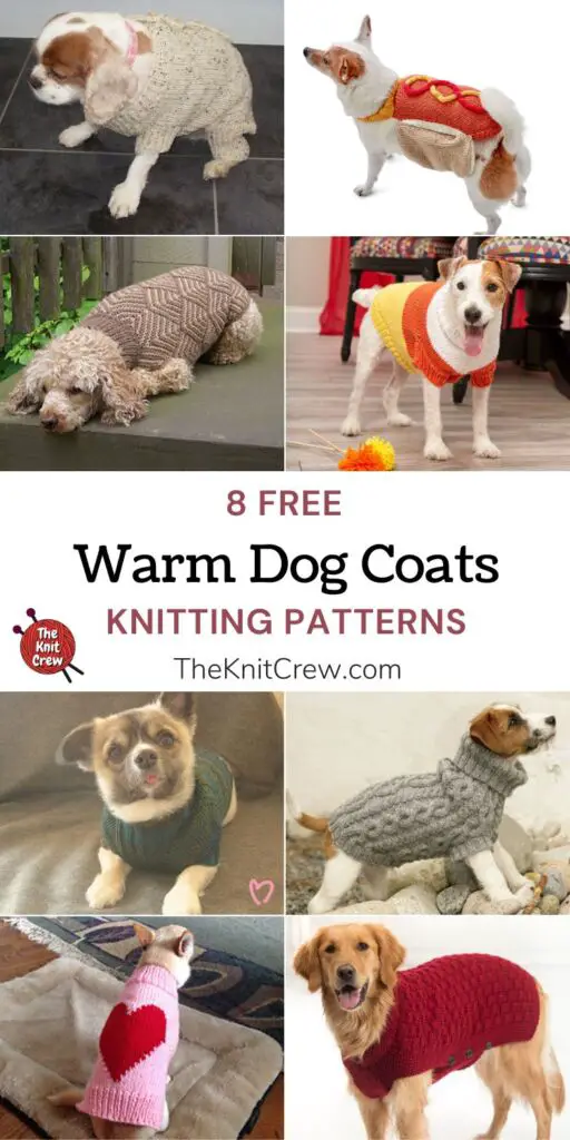 8 Free Warm Dog Coat Knitting Patterns PIN 1