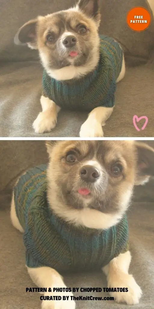 Bucalicious Sweater Pattern - 8 Free Warm Dog Coat Knitting Patterns