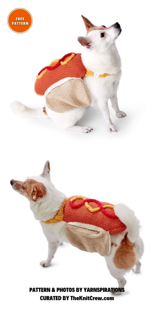 Caron Knit Hot Diggety Dog Coat - 8 Free Warm Dog Coat Knitting Patterns