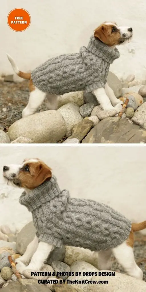 The Lookout - 8 Free Warm Dog Coat Knitting Patterns