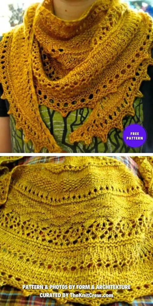 Lionberry - 14 Beautiful Knitted Lace Shawl Patterns For Women