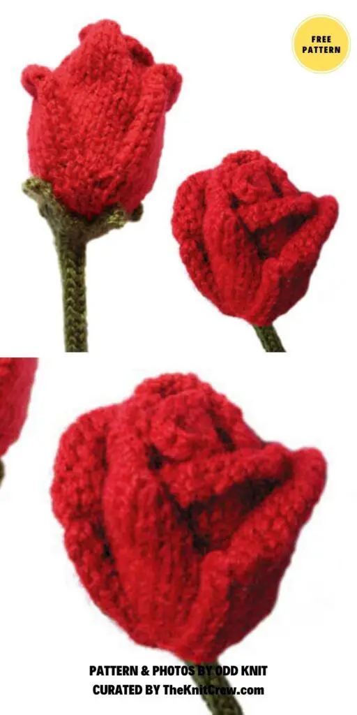 Roses - 10 Beautiful Knitted Rose Patterns To Make