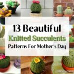 13 Beautiful Knitted Succulent Patterns For Mother's Day - Facebook Poster