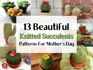 13 Beautiful Knitted Succulent Patterns For Mother's Day - Facebook Poster