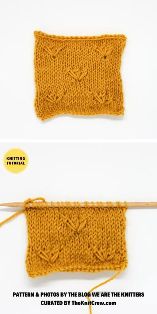 Daisy Stitch - 17 Easy Knitted Flower Stitch Tutorials