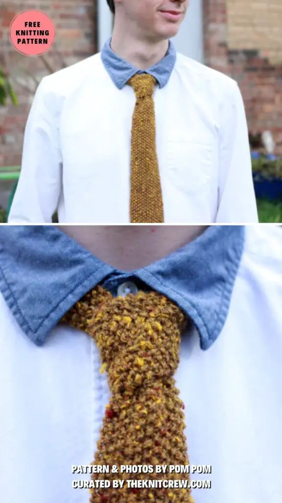 7. Seventeen Seeds - Surprise Dad With A Knitted Necktie_ 11 Free Patterns to Choose From - The Knit Crew