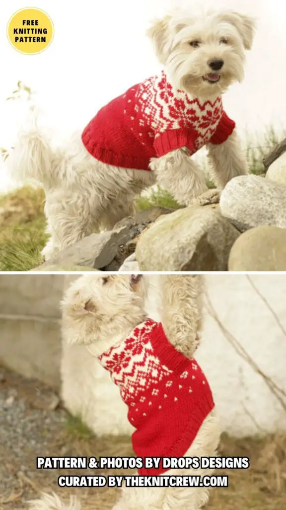 1. Nordic Paws - 8 Free Knitting Patterns For Small And Big Dog Sweaters - The Knit Crew
