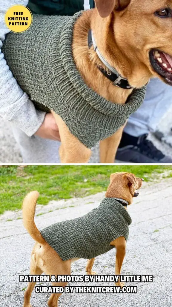 3. Dog Sweater Knitting Pattern - 8 Free Knitting Patterns For Small And Big Dog Sweaters - The Knit Crew