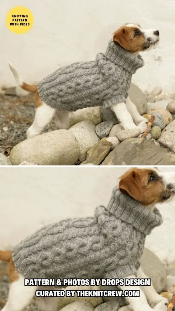 4. Lookout - 8 Free Knitting Patterns For Small And Big Dog Sweaters - The Knit Crew