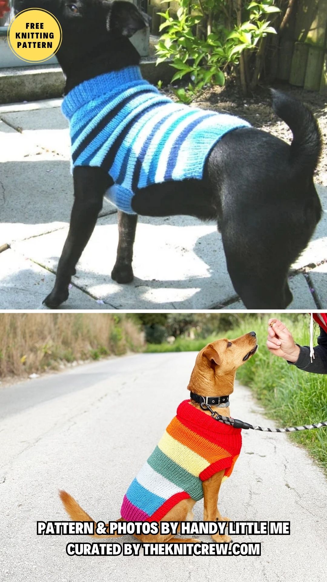8 Free Knitting Patterns for Small and Big Dog Sweaters - The Knit Crew