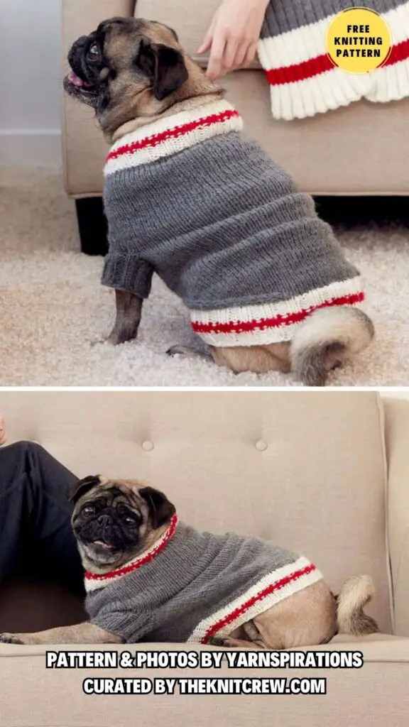 8. BERNAT KNIT WORK SOCK DOG COAT - 8 Free Knitting Patterns For Small And Big Dog Sweaters - The Knit Crew