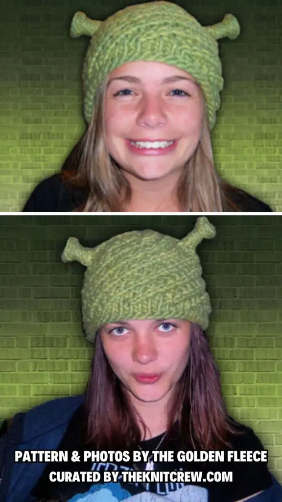 3. Ogre My Ogre - Spooky And Stylish - 12 Free Halloween Hat Knitting Patterns - The Knit Crew