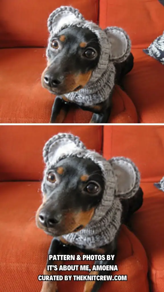 1. To humiliate the dog - 7 Free Knitting Patterns For Halloween Pet Costumes - The Knit Crew