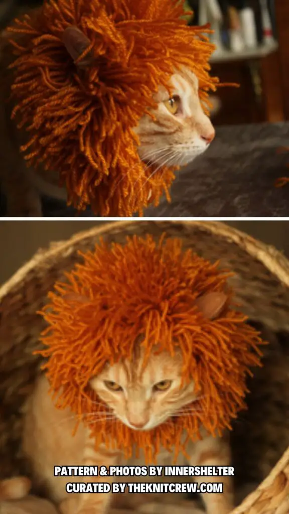 2. Cat's Mane - 7 Free Knitting Patterns For Halloween Pet Costumes - The Knit Crew