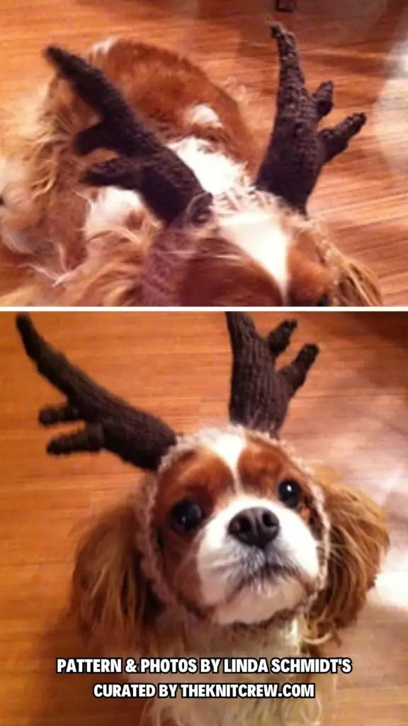 3. ROFL Dog Antlers - 7 Free Knitting Patterns For Halloween Pet Costumes - The Knit Crew