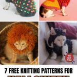 PIN 1 - 7 Free Knitting Patterns For Halloween Pet Costumes - The Knit Crew