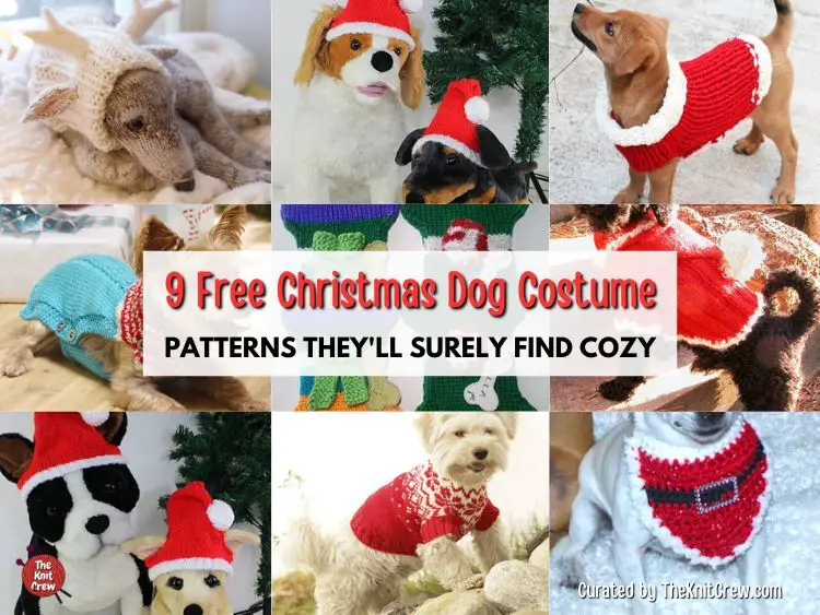 FB POSTER - 9 Free Christmas Dog Costume Patterns They'll Surely Find Cozy - The Knit Crew
